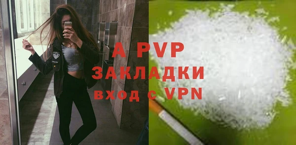 гашик Белокуриха