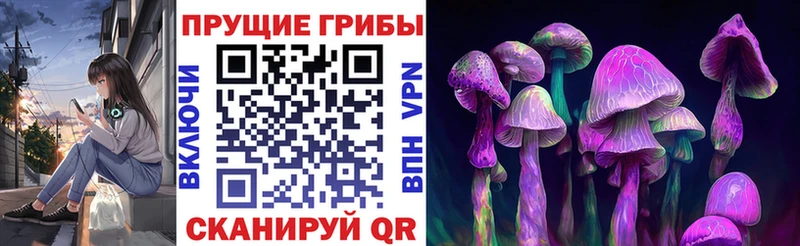 Купить где  Добрянка  Псилоцибиновые грибы Psilocybine cubensis 